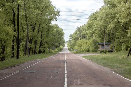 Never Going Back Again