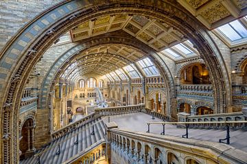 Museum of Natural History in Londen van Dieter Meyrl