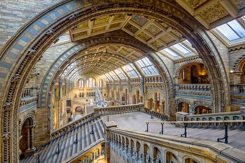 Museum of Natural History in Londen