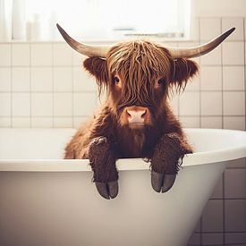 Scottish Highlander in Bath by But First Framing