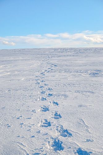 Sneeuwschoen voetafdrukken op de sneeuw