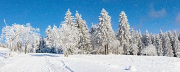 Silence hivernal en Thuringe : Un panorama de feuillus enneigés, de colonnes de sapins et de forêts denses sous un ciel bleu profond avec de douces chutes de neige sur AidasignArt