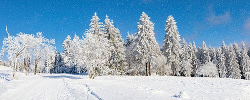 Winterrust in Thüringen: Een panorama van besneeuwde loofbomen, dennenzuilen en dichte bossen onder een diepblauwe hemel met zachte sneeuwval