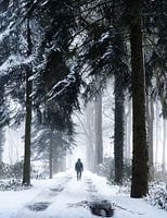 Hinein in den Sturm