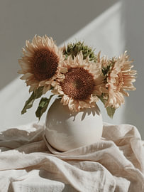 Sunflowers in a Cream Vase on Linen – Floral Still Life by StudioRemier