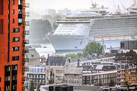 boat in rotterdam