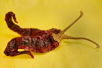 Two Red Dried Hot Chile Peppers on Yellow Landscape by Iris Holzer Richardson