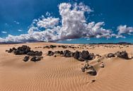 Parque Natural Corralejo, Fuerteventura, Canarische Eilanden, Spanje van Rene van der Meer thumbnail