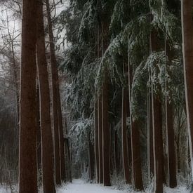 Winter in Baggelhuizen dromerig van Henriette Tischler van Sleen