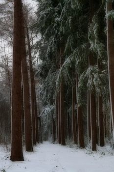 Winter in Baggelhuizen dromerig