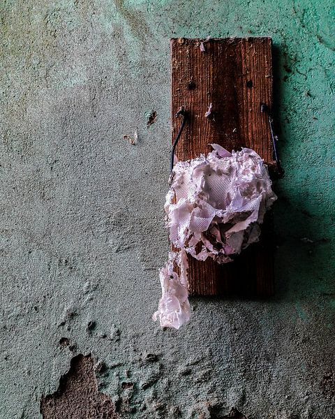 A nice fresh role of toilet paper by PAPARAzzSSI Freelance Fotografie
