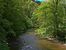 Green Wutach Gorge by Timon Schneider