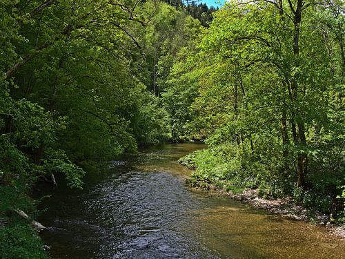 Gorges vertes de la Wutach sur Timon Schneider