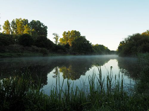 Morgentau über dem Wasser