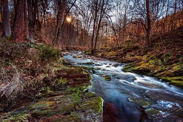 Rivière de montagne La Hoëgne sur Rob Boon