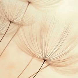 Schwemmhaare im Licht von Poster Art Shop