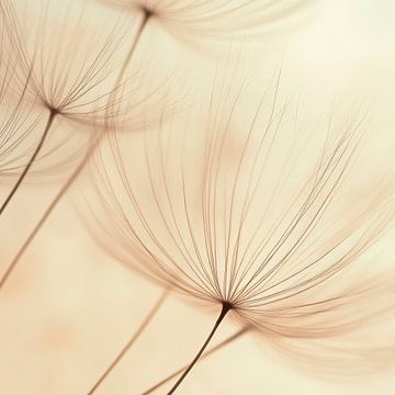 Alluvial hairs in the light by Poster Art Shop