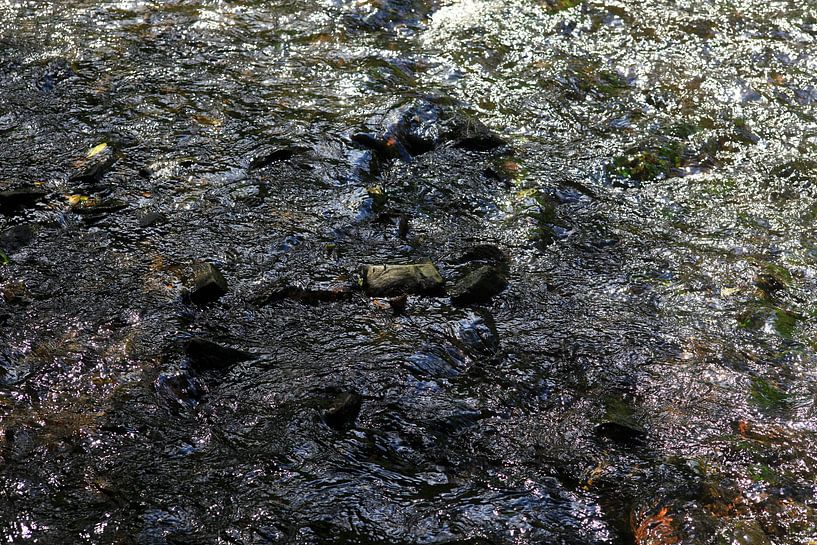 Water by Thomas Jäger