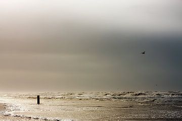 Stormachtige Noordzee strand van Jan Brons