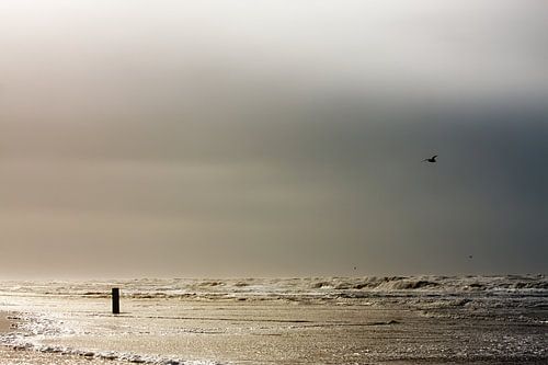 Stormachtige Noordzee strand