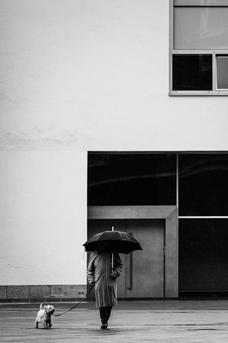 Promener le chien sur Patrick Dreuning