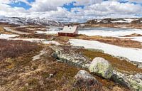 Rood huisje in Noorwegen van Marcel Kerdijk thumbnail