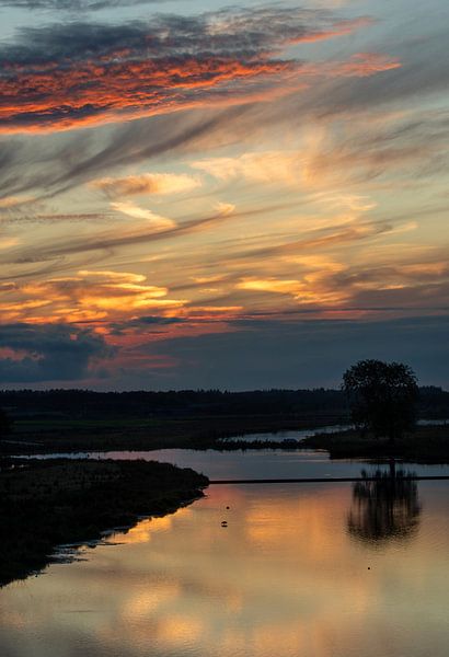Meuse floodplains in glow of fire by Zeno Swijtink