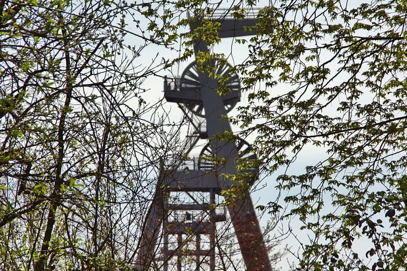 à travers le feuillage par Edgar Schermaul