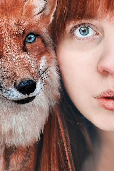 The red fox by Elianne van Turennout