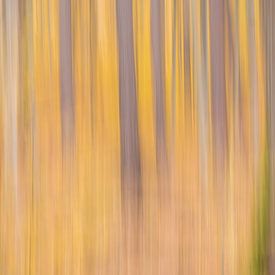 Abstracte herfst van Peter Proksch