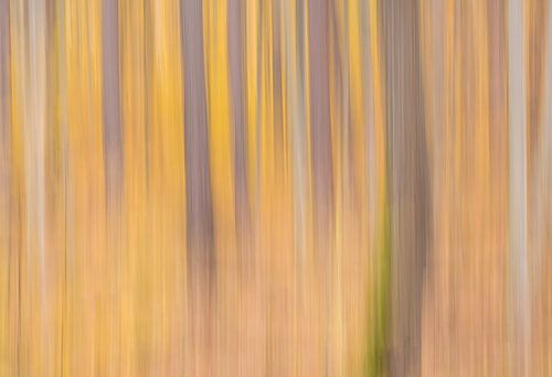 Automne abstrait sur Peter Proksch