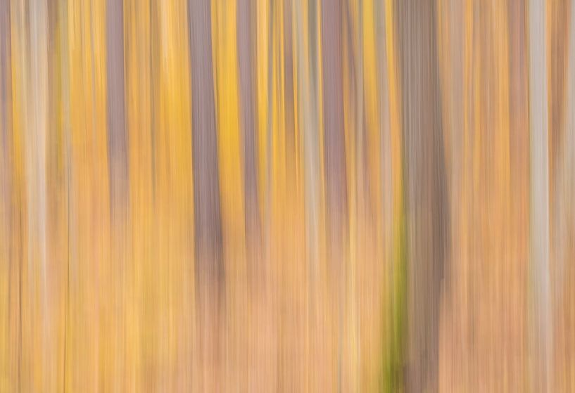 Abstrakter Herbst von Peter Proksch