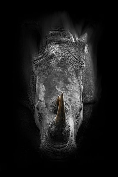 Impression de rhinocéros sur fond noir par Mark van Dellen