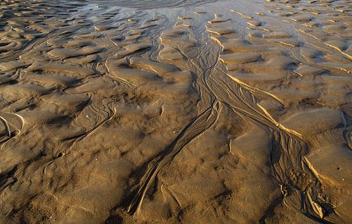 tekeningen door de natuur in het zand