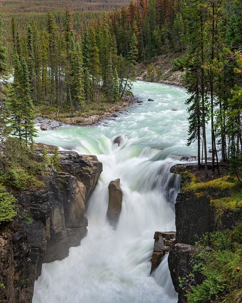 Sunwapta Falls, Icefields Parkway, Jasper National Park, Alberta, Kanada von Alexander Ludwig
