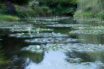 Seerosen in den Gärten von Monet von Andius Teijgeler