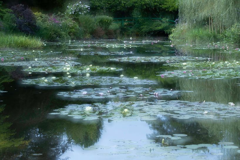 Seerosen in den Gärten von Monet von Andius Teijgeler