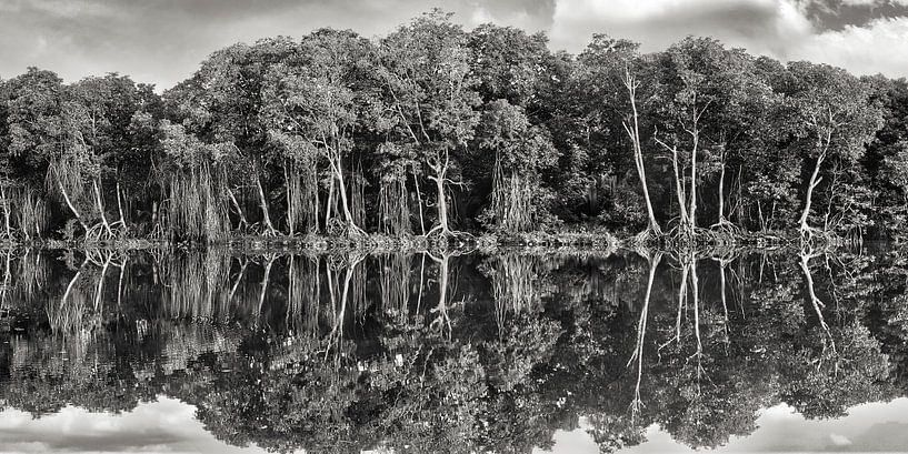 Panorama Mangroves Brunei by Wuzitours Fotografie