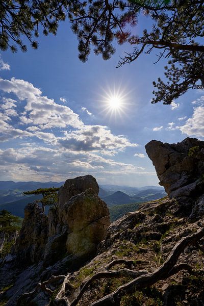 Summer day in the Alps by WittholmPhotography
