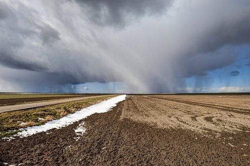 Carel Coenraadpolder I