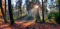 Herfstzon