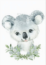 Bute-Koala von Thomas burnet