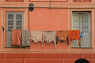 Einfarbige Wäsche vor einer gleichfarbigen Fassade. von Gert van Santen Miniaturansicht