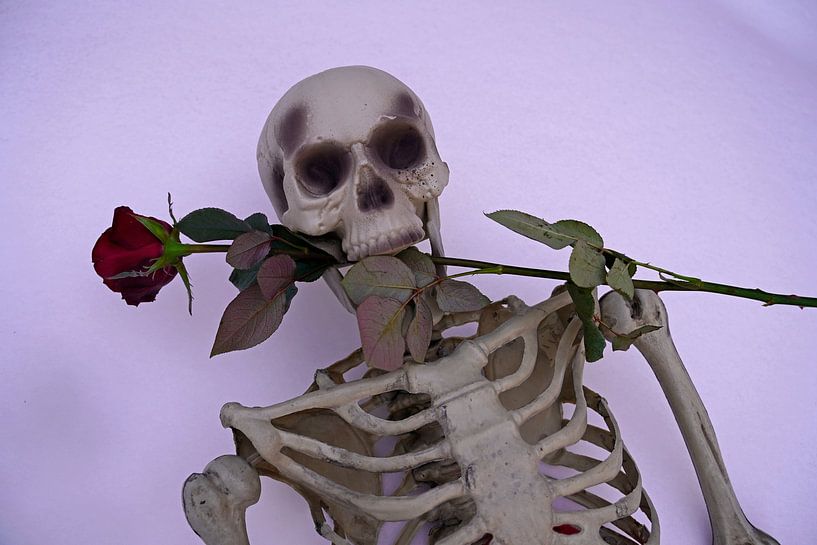 Eternal love skeleton with red rose in white snow by Babetts Bildergalerie