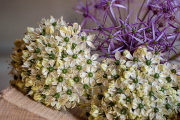 Sterrenlook(Allium crisophii) en sierui samen van Ingrid van Wolferen