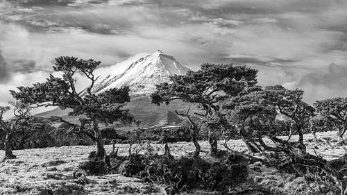 Der Vulkan Pico auf der Azoreninsel Pico