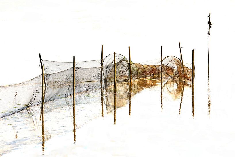 fish trap at low tide by Bodo Balzer