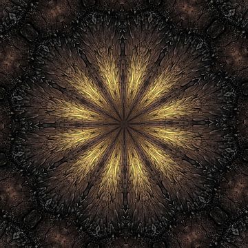 Kaleidoskop von Carla van Zomeren