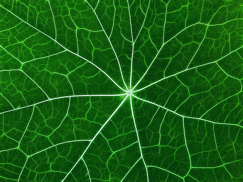 Nervöses Grün (Blattadern in Grün) von Caroline Lichthart