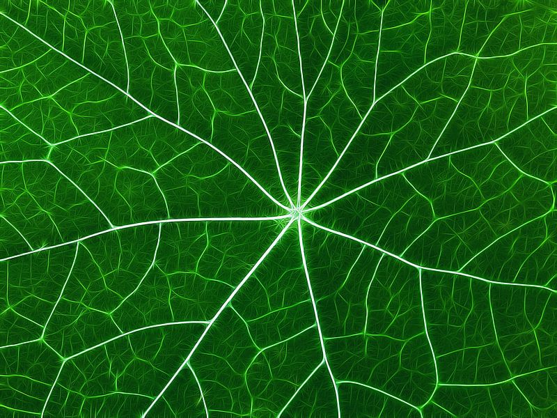Nervous Green (Leaf veins in Green) by Caroline Lichthart